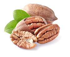 Pecan