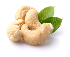 Cashew Nut