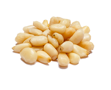 Pine Nut