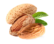 Almond