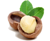 Macadamia